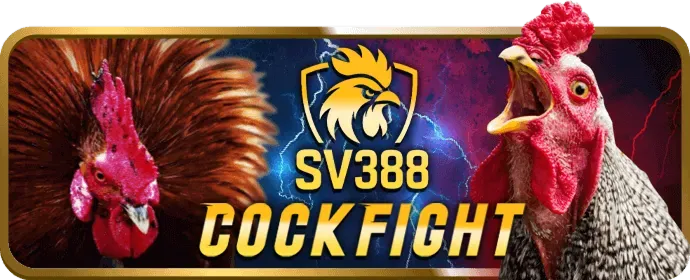 Quy trình rút tiền hello88 bet